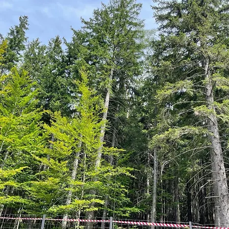 Luksusowy Joker 2 * Sklářská Poruba